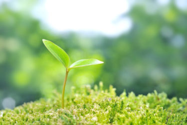 プライバシーポリシー